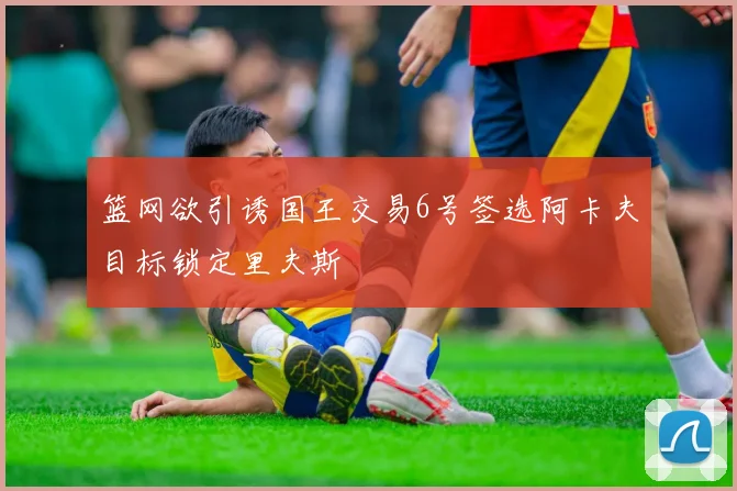 篮网欲引诱国王交易6号签选阿卡夫目标锁定里夫斯