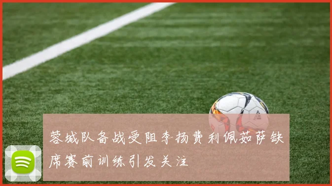 蓉城队备战受阻李扬费利佩茹萨缺席赛前训练引发关注