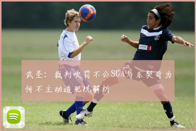 武圣：裁判吹罚不公SGA与东契奇为何不主动造犯规解析